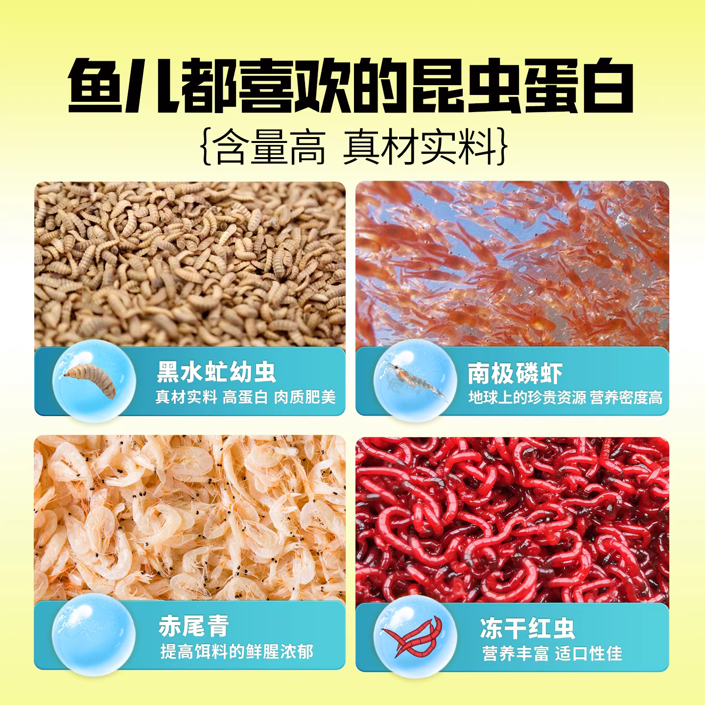 二代香鱼饵料野钓黑坑四季通用一包搞定鲫鲤鱼食 图3